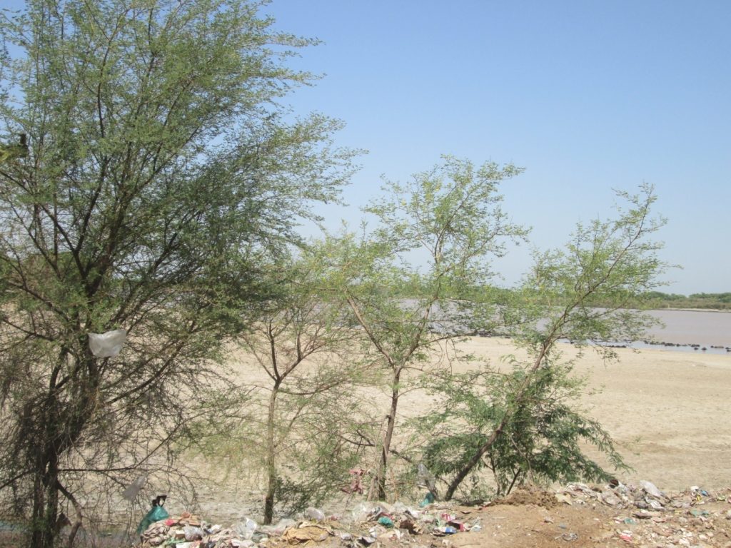 A view of river Indus from Shivla