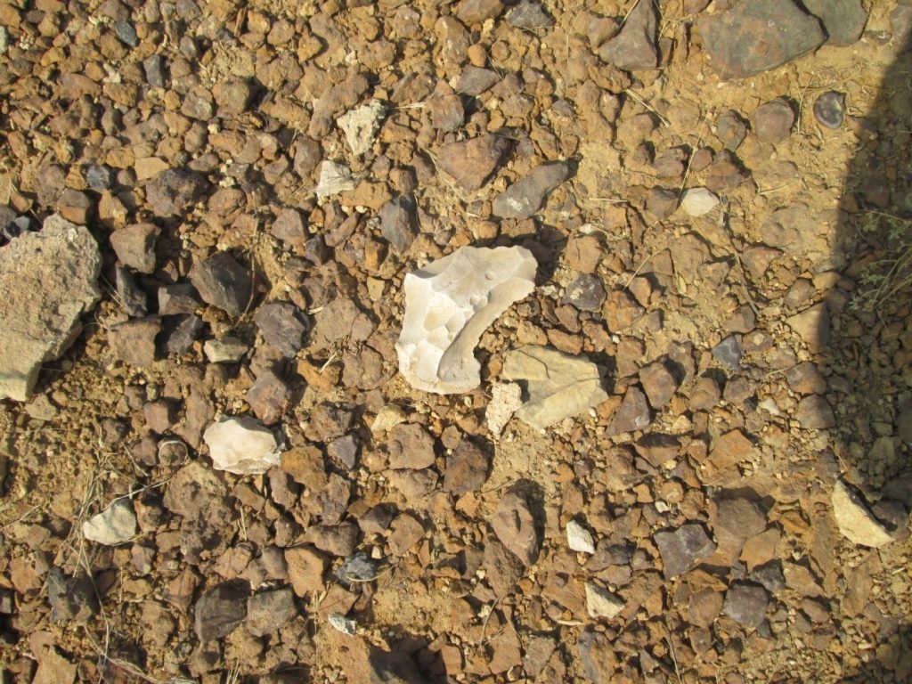 Scraped Bifacial Chopper like Artifact found at Ongar